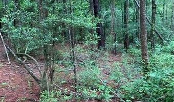 E HWY 16 Highway, Amite, LA 70422
