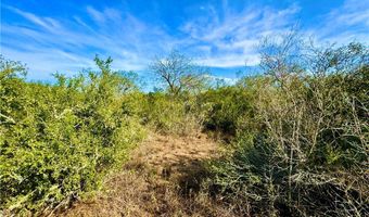 1252 CR 202, Alice, TX 78332