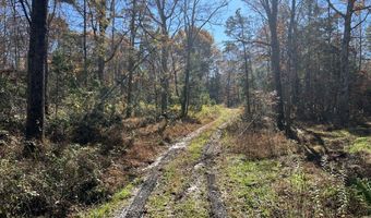523 Honey Creek Loop Rd, Allardt, TN 38504