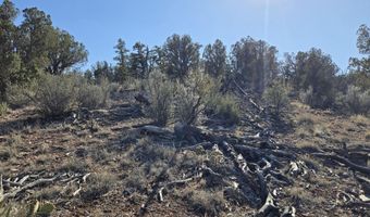 446 Arizona Rd, Ash Fork, AZ 86320