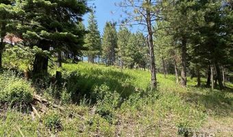 NNA Sangster Rd, Anatone, WA 99401