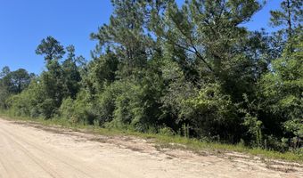 Postpile Circle, Alford, FL 32420