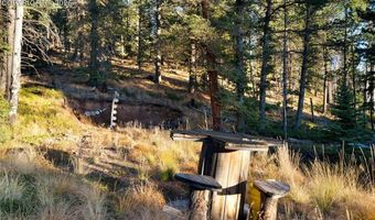 516 Saguache Dr, Florissant, CO 80816
