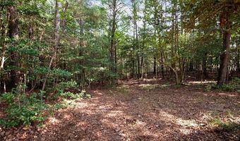 6250 Tuckers Ridge Ln Lot 2, Barhamsville, VA 23011
