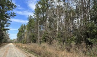 060 Bar M Farm, Andalusia, AL 36421