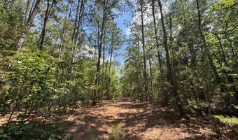 1324 Highway 81 N, Calhoun Falls, SC 29628