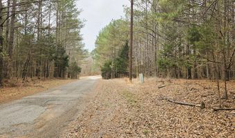 Zig Zag, Big Sandy, TN 38221