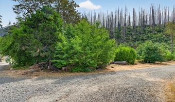 51790 Echo St, Blue River, OR 97413