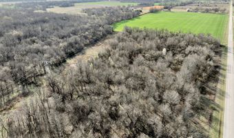 0002 CR-290, Asbury, MO 64832