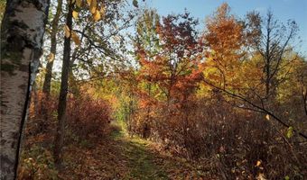 31538 County 23, Akeley, MN 56433