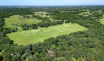 S Part Of Tract 54 FM 1655, Alvord, TX 76225