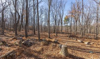 1060 BUFFALO RIDGE Rd, Augusta, WV 26704