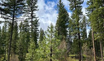 27 Sawtooth Loop Lot 23, Cascade, ID 83611