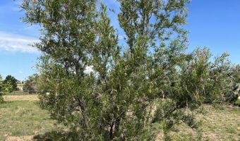 1201 W Justray Ranch Rd, Chino Valley, AZ 86323