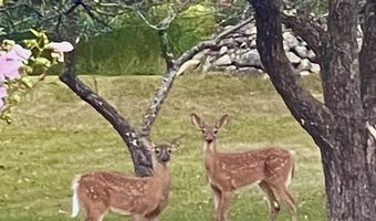 216 North Rd, Candia, NH 03034