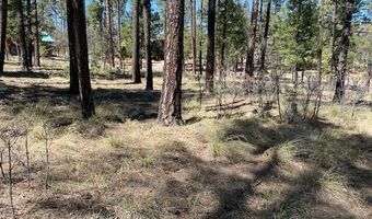 000 COUNTY ROAD 2191 LOT 46, Alpine, AZ 85920