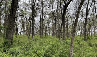 168 Th St, Albia, IA 52531