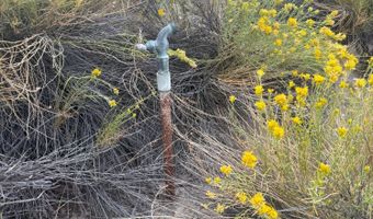 1980 Millard Fillmore Ave, Battle Mountain, NV 89820