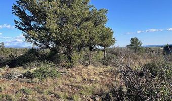 Lot 15 Primrose Lane, Bayfield, CO 81122