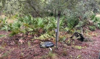 4539 NW Miller/White LN Rd, Altha, FL 32421