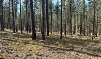 31760 HWY 10 W, Alberton, MT 59820