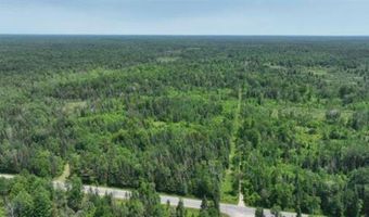 6002 Wildwood, Alger, MI 48610