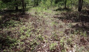 La Grant Road, Alger, MI 48610