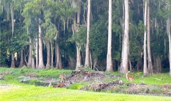 6023 Ellerston 1816, Ave Maria, FL 34142