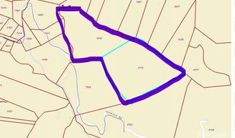 99999 Harwood Rd, Barnardsville, NC 28709