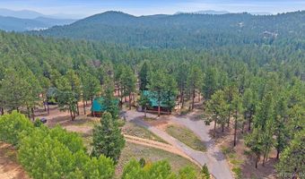 104 Six Bits St, Bailey, CO 80421