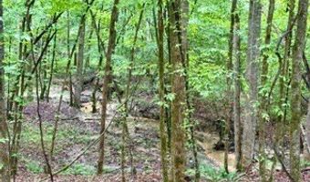 CR 265, Bruce, MS 38915