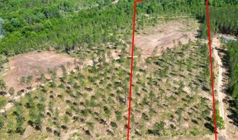3 AL SR 223, Banks, AL 36005