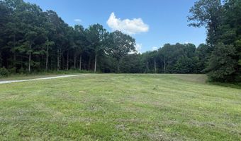 0000 Mifflin Rd, Beech Bluff, TN 38301