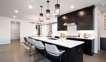 22899 ORCHARD GROVE Dr, Ashburn, VA 20148