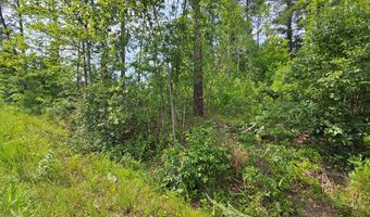671 Penlan Rd Lot 1, Arvonia, VA 23004
