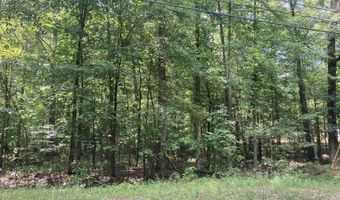Lot 1069 Iron Gate Drive, Baneberry, TN 37890
