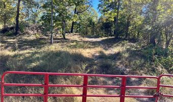 1011 Granny Hollar Rd, Atkins, AR 72823