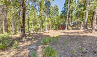 1694 Shoshone Dr, Camp Connell, CA 95223