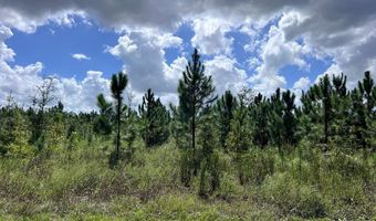 00 50th Ave, Bell, FL 32619