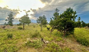 3235 Davis Ranch Rd, Bellvue, CO 80512
