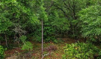 00 SW 170TH St, Archer, FL 32618