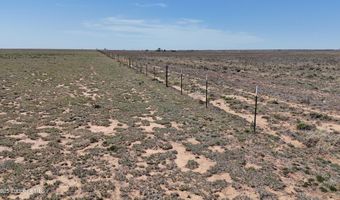 0 CR 332, Anton, TX 79313