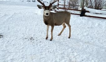 31 CUTOFF Rd, Daniel, WY 83115