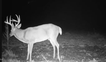 2363 Fugates Rd, Bentonia, MS 39040