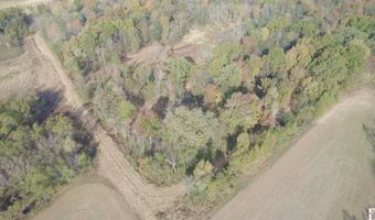 Holloway Landing Road, Barlow, KY 42024