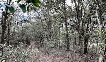 85 Th St, Bell, FL 32619