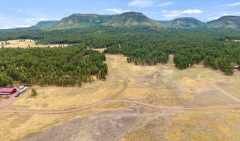 3 County Rd. N2157 Parcel 3, The Meadows Edge, Alpine, AZ 85920