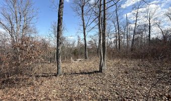 1790 County Rd A-435, Ava, MO 65608