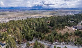 235 Job'S Canyon Ct, Gardnerville, NV 89460