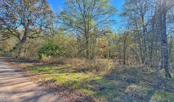 Coker Drive, Atkins, AR 72823